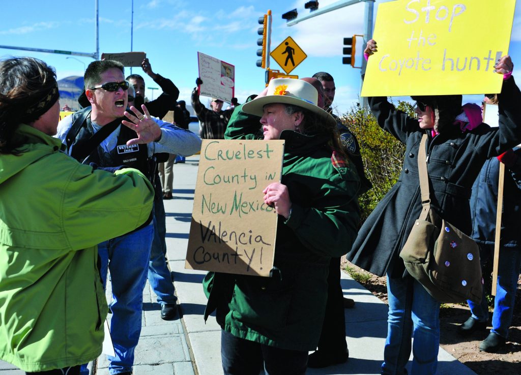 No protesters, just 1 kill at NM coyote contest