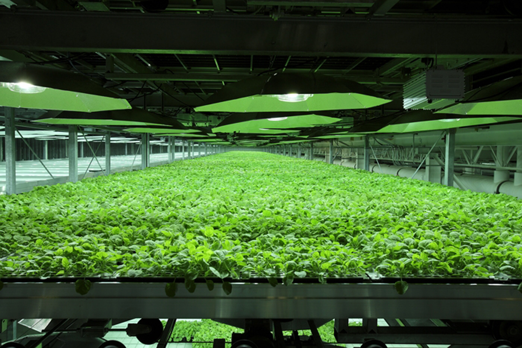 Ethical issue: Who gets experimental Ebola drug?