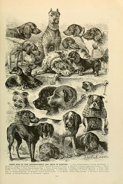 Prufrock: The Pevear-Volokhonsky “Asteroid,” the Origin of Dogs, and Hugh Walpole’s Supernatural Thrillers
