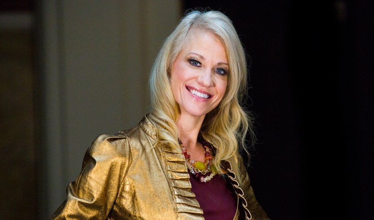 Kellyanne Conway said Trump will not release his tax returns because it had been 