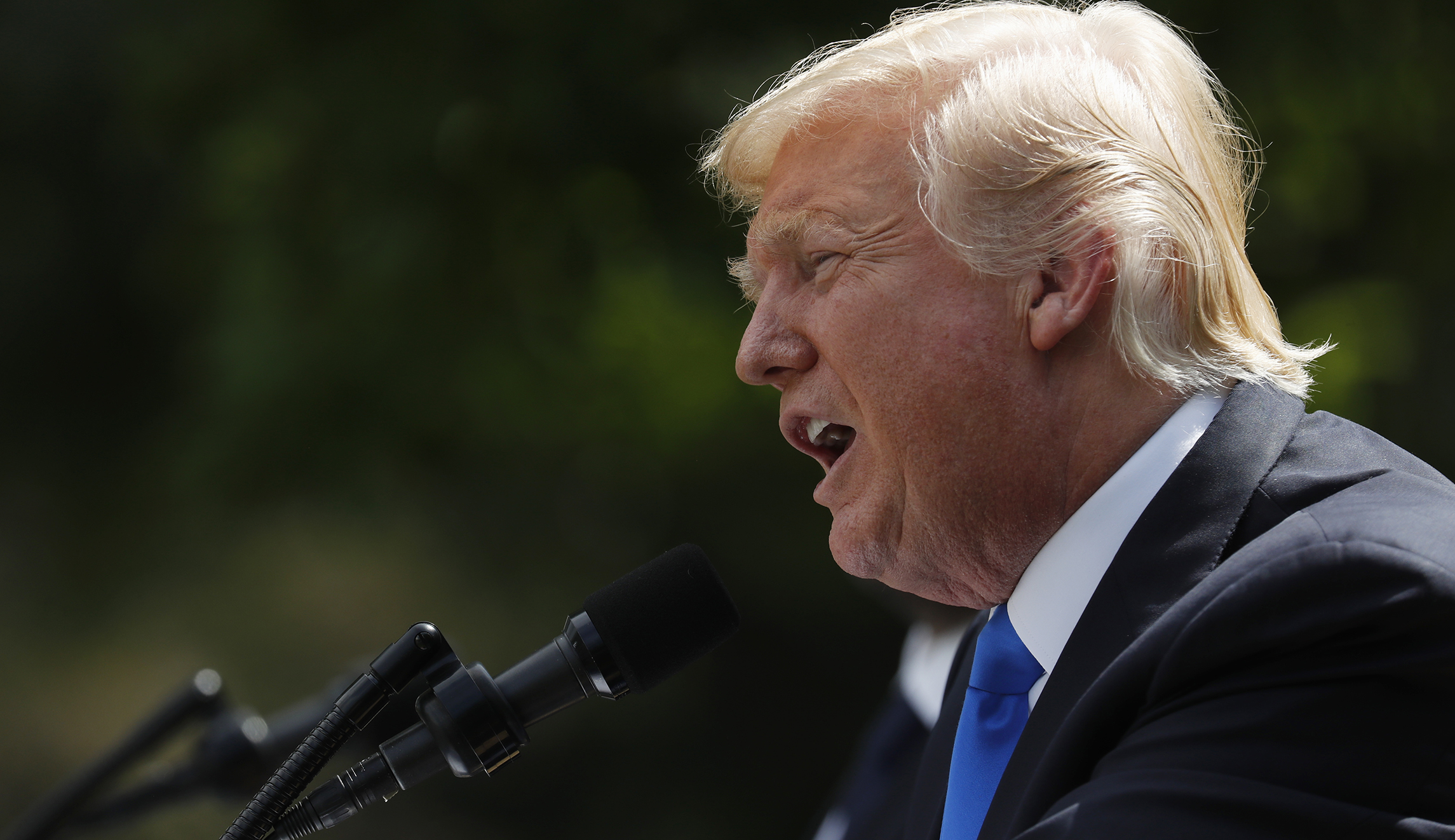 Trump ‘disappointed’ Jeff Sessions hasn’t been tougher on intelligence leaks