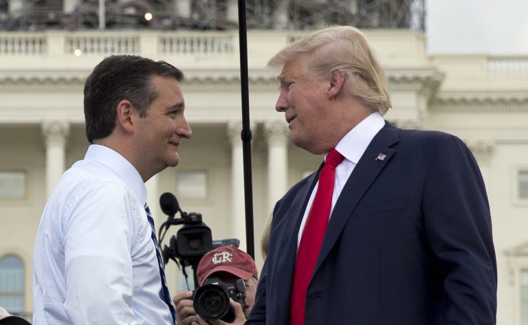 Donald Trump has hired the senior communications advisor to former candidate Ted Cruz to head the campaign's press shop. (AP Photo/Carolyn Kaster)