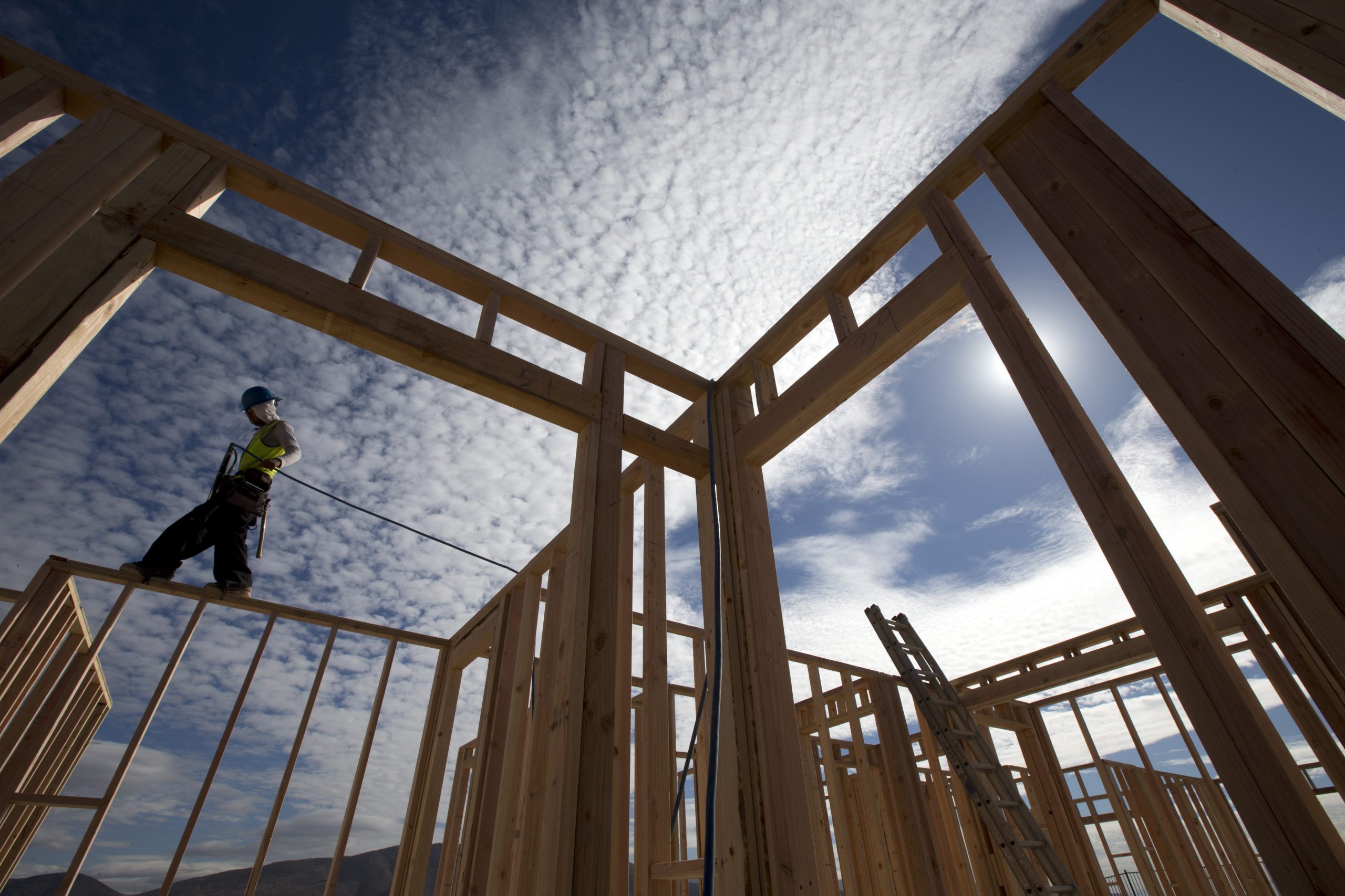 If Trump wants black votes, he should talk about illegal immigrants seizing rare public housing spots