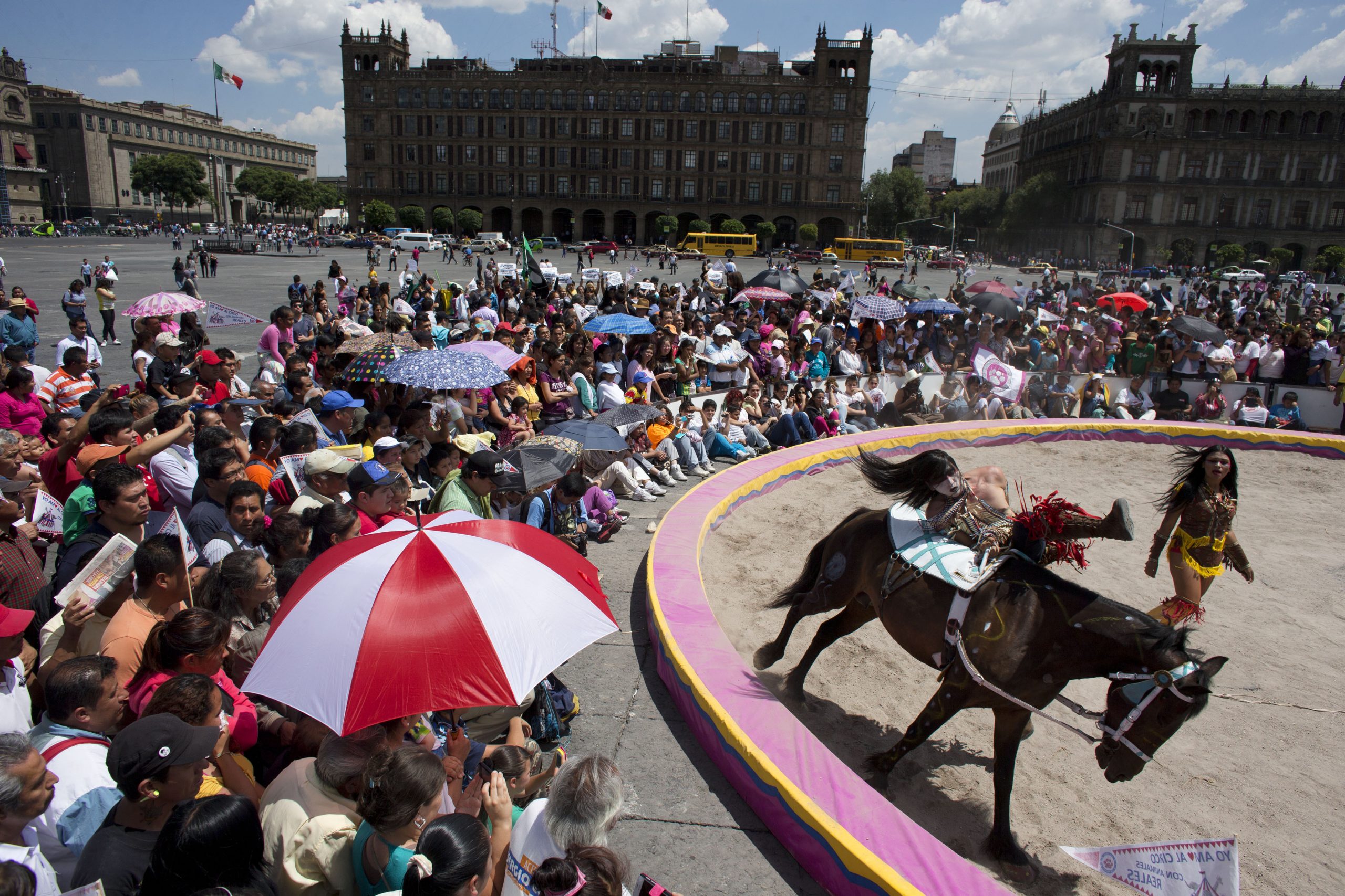 Mexico’s circuses caught up in animal rights spat
