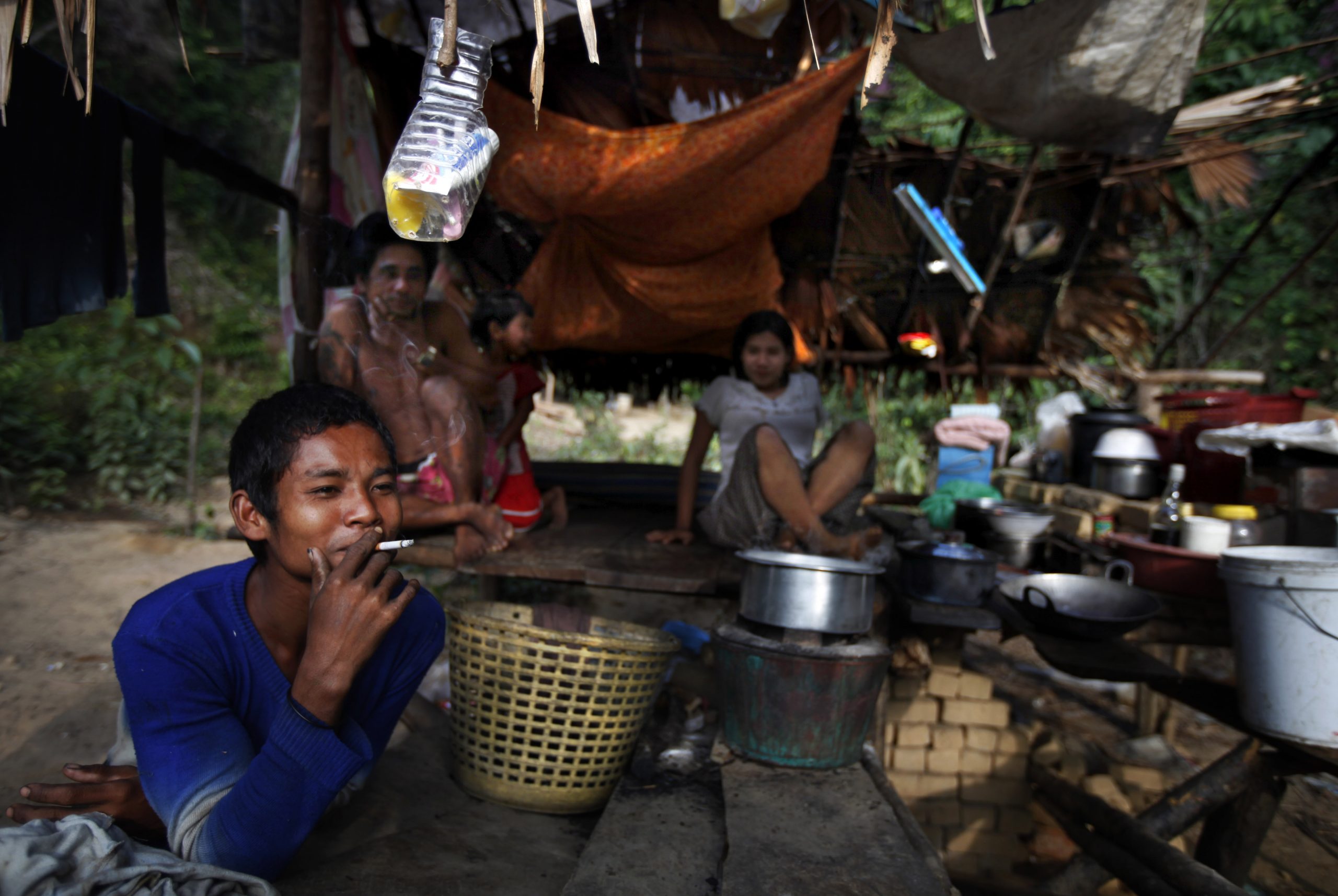 Rare Myanmar ecosystems protected only on paper