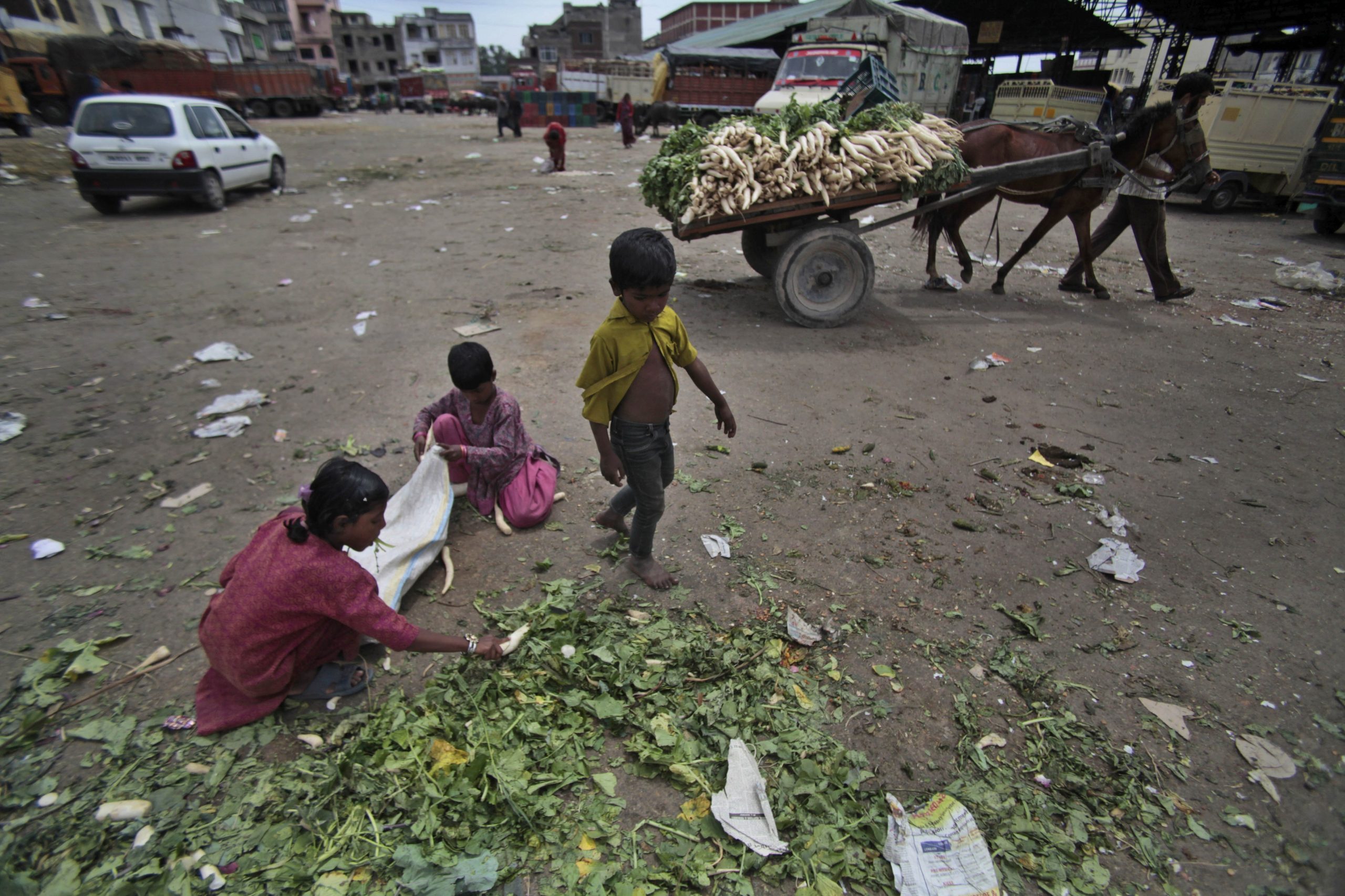 Poverty, not inequality, is the source of social ills