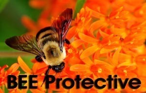 BEE Protective campaign logo.