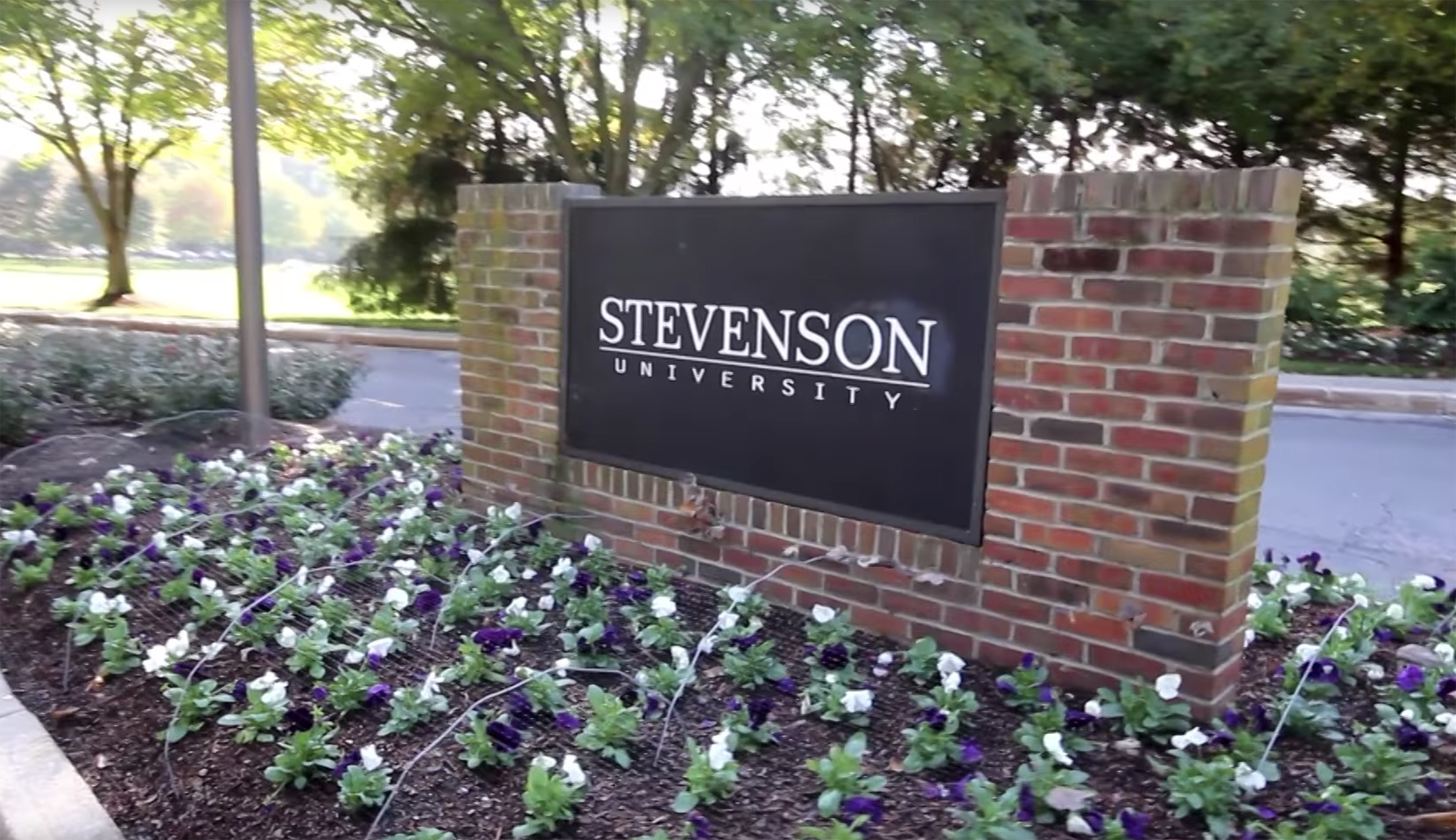 Stevenson University to host a queer-only talent show