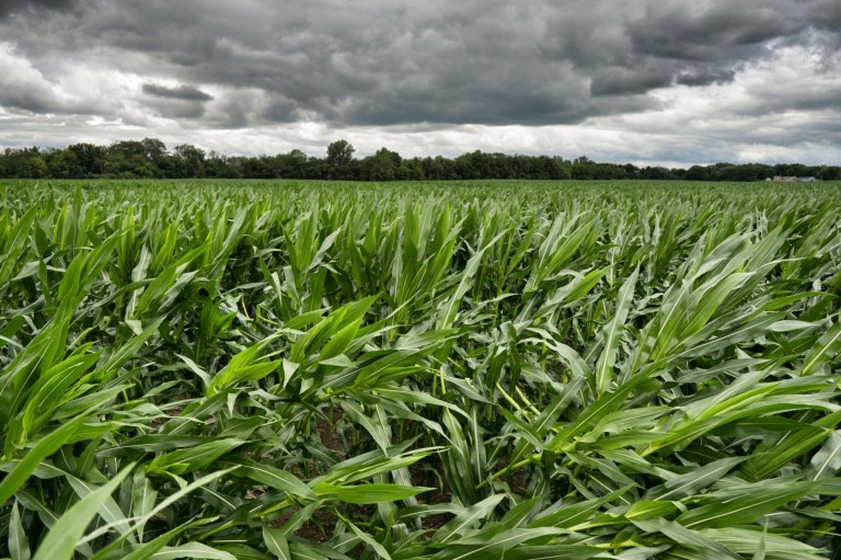 In Iowa, Trump promises to personally get involved in corn farmers’ dispute with EPA