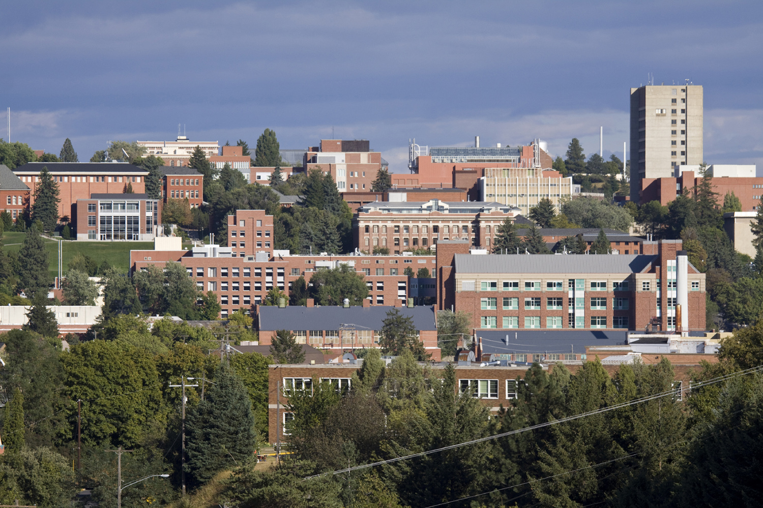 Now a woman has been expelled for allegedly sexually assaulting a man