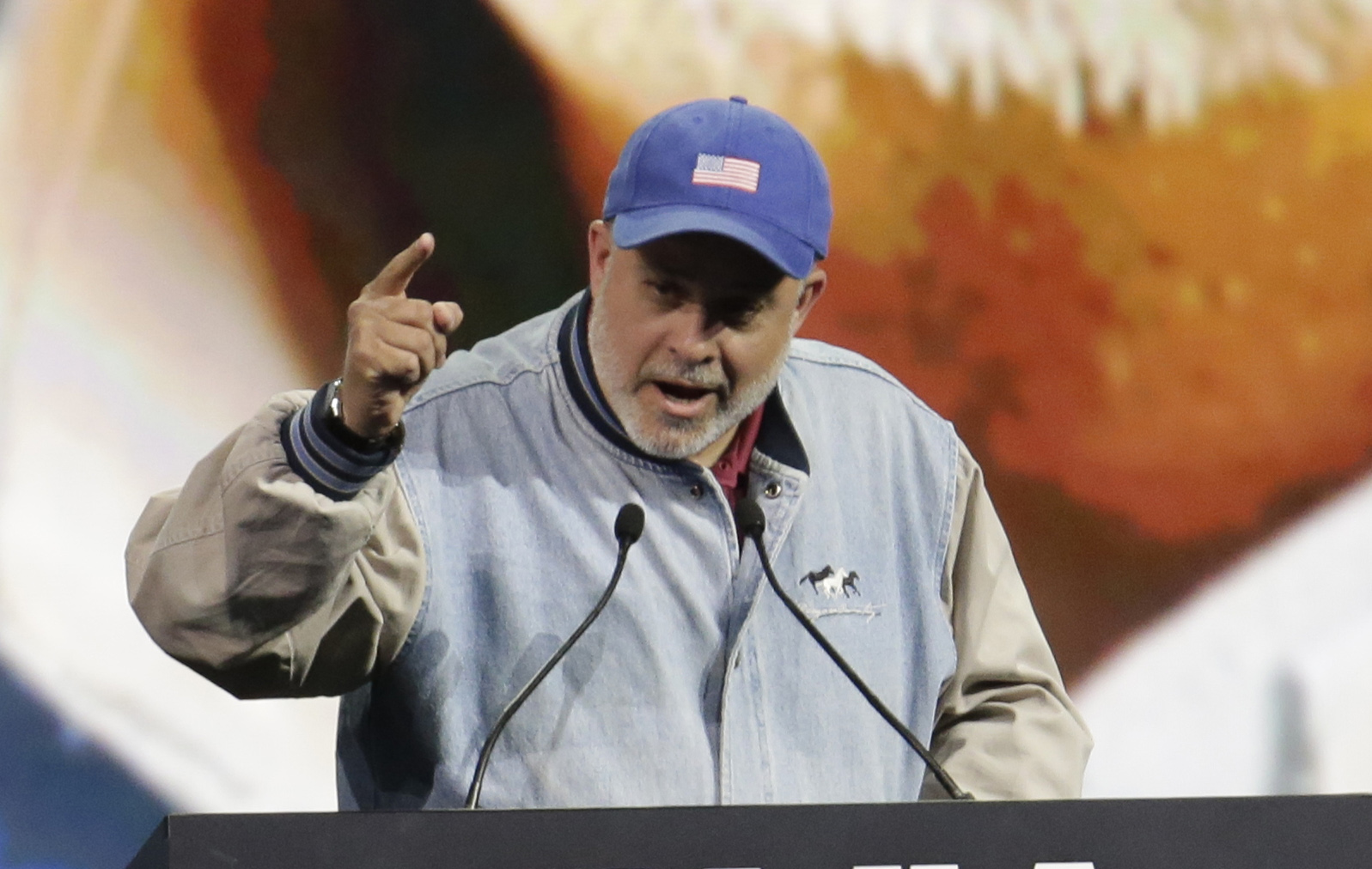 Mark Levin slams ‘silent’ media on reliability of Dominion after previously reporting on voting concerns