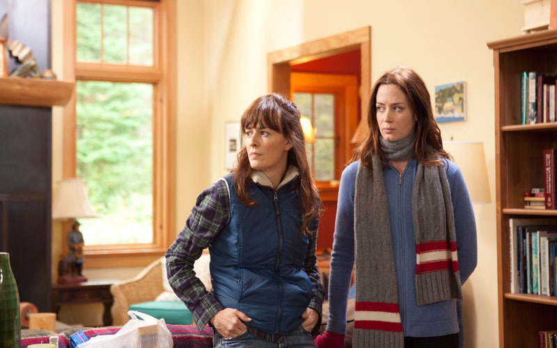 Review: Naturalism key to ‘Your Sister’s Sister’