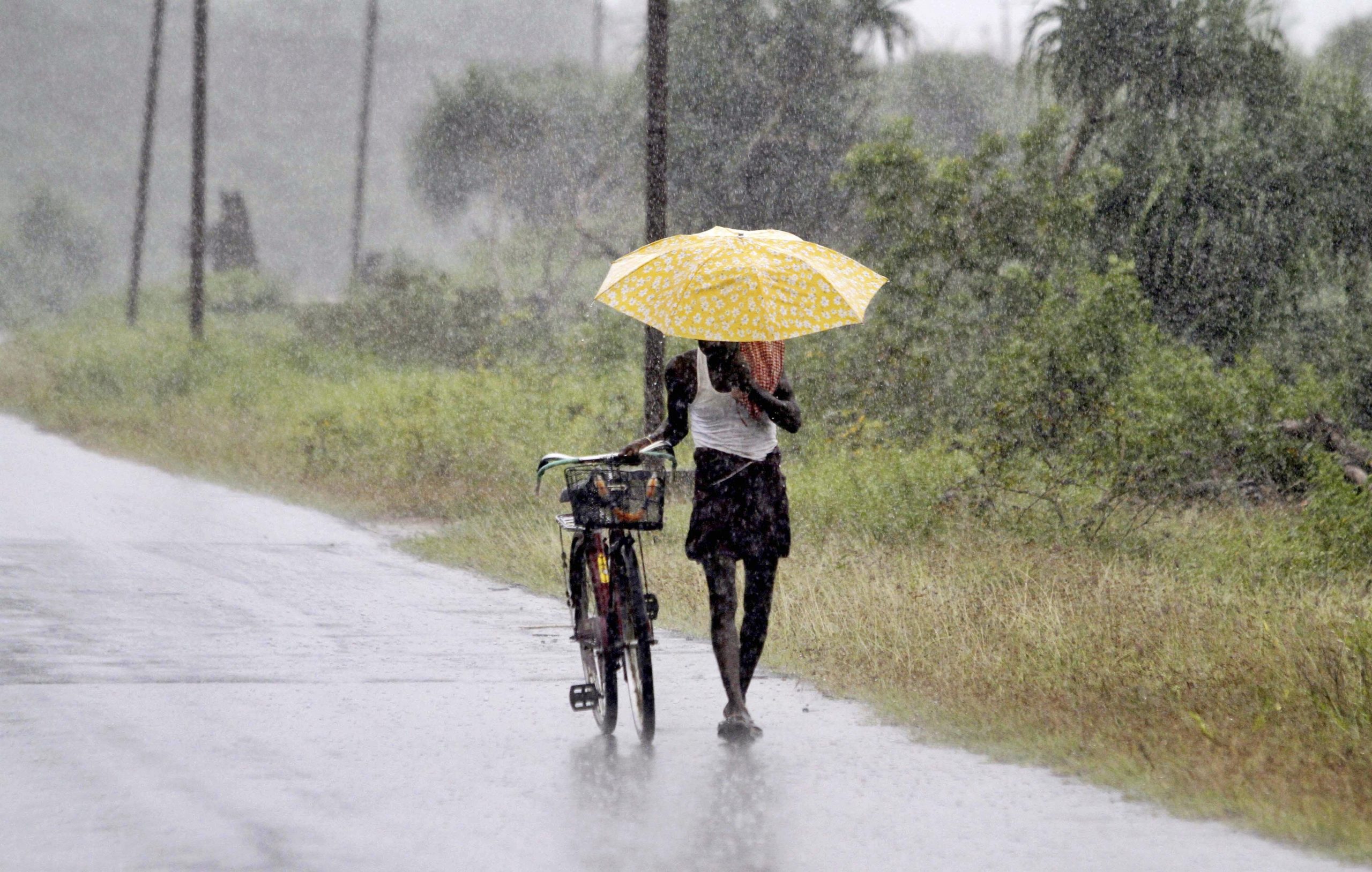 Eastern India on high alert for massive cyclone
