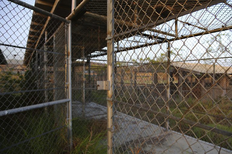 A June 20 photo shows the open-air pen used to confine detainees at the controversial Guantanamo Bay prison facility in Cuba. (AP Photo/Bill Gorman, File)