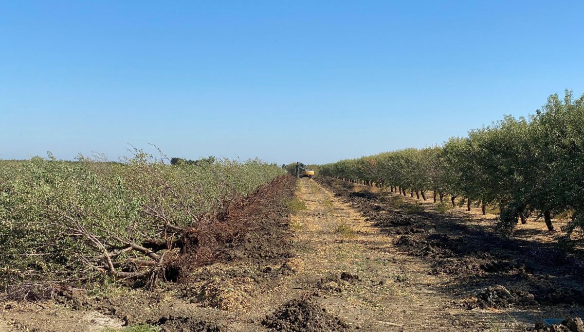 California threatens to fine farmers after destroying their fields