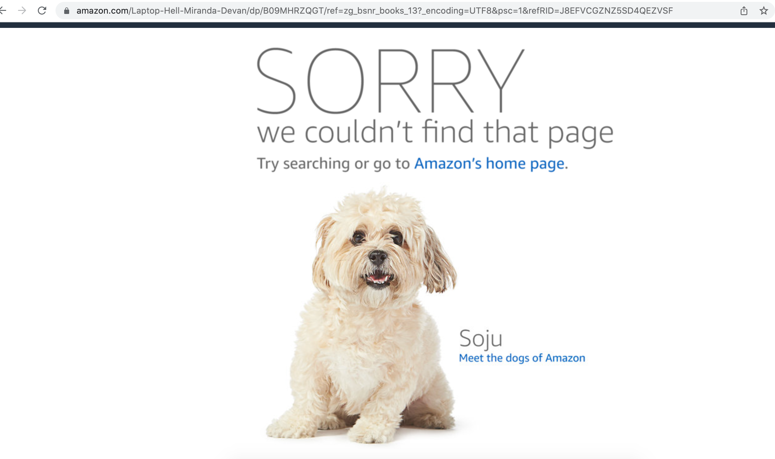 Amazon page.png