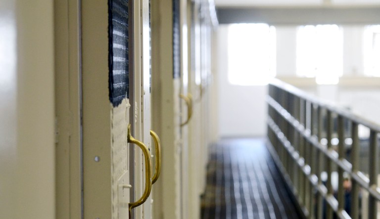 Cells are shown in a newly cleared wing in Pennsylvania.