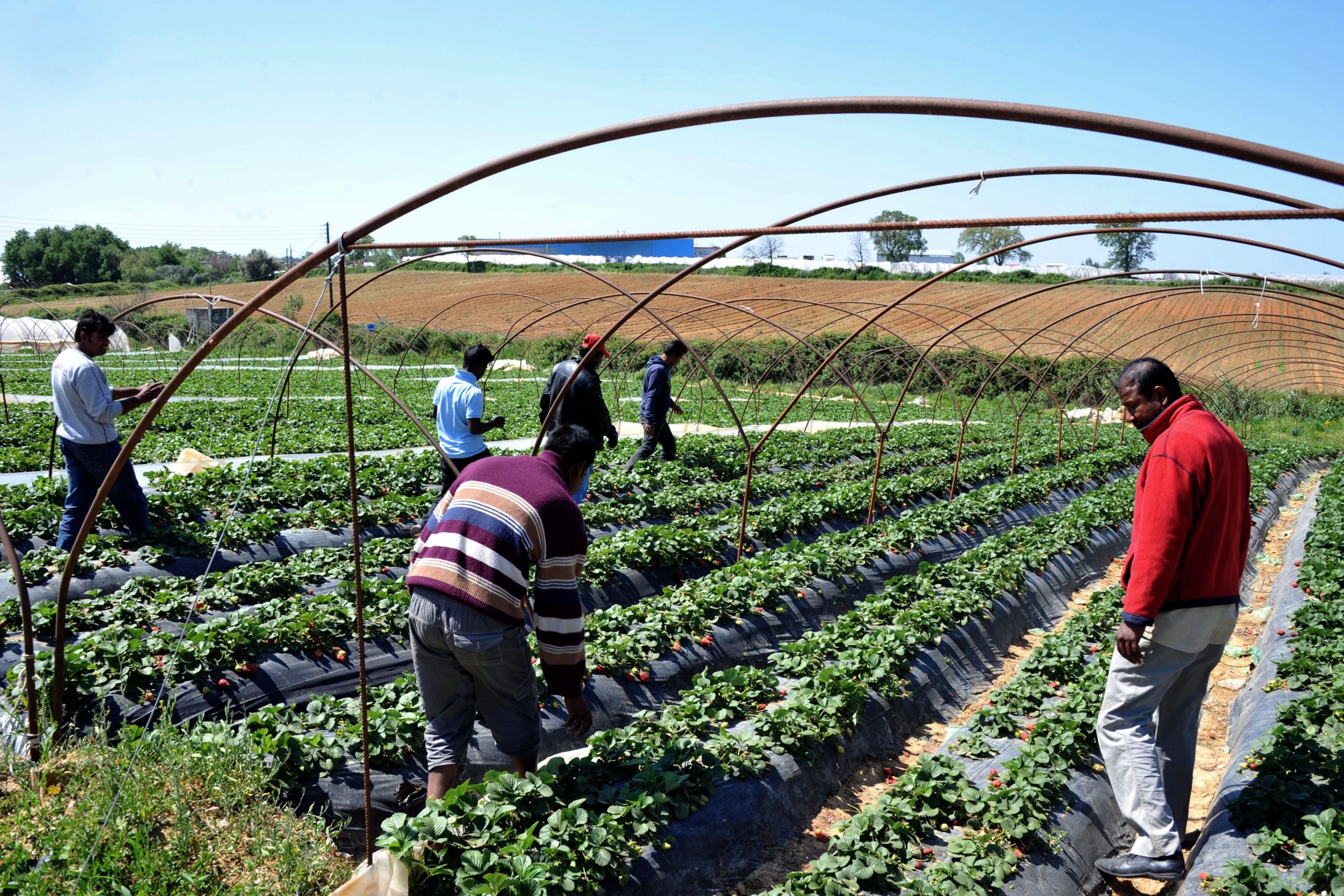 Supreme Court strikes blow to California organized labor regulations