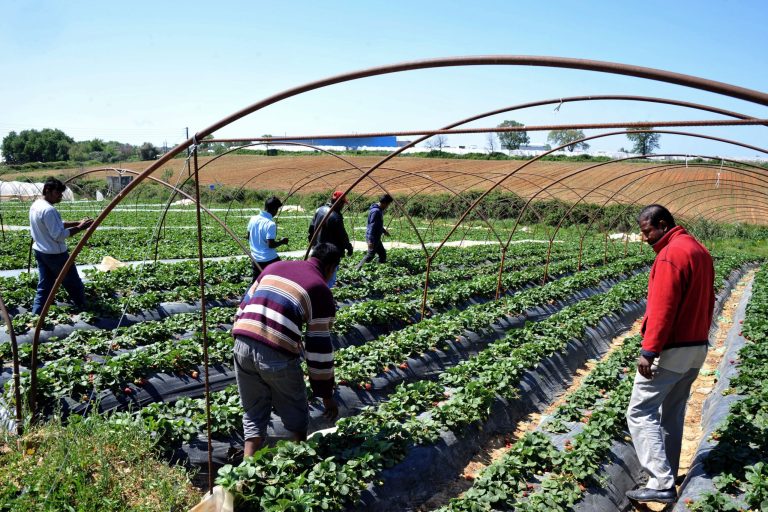 Feds expand investigations into companies that may be hiring immigrants without work papers