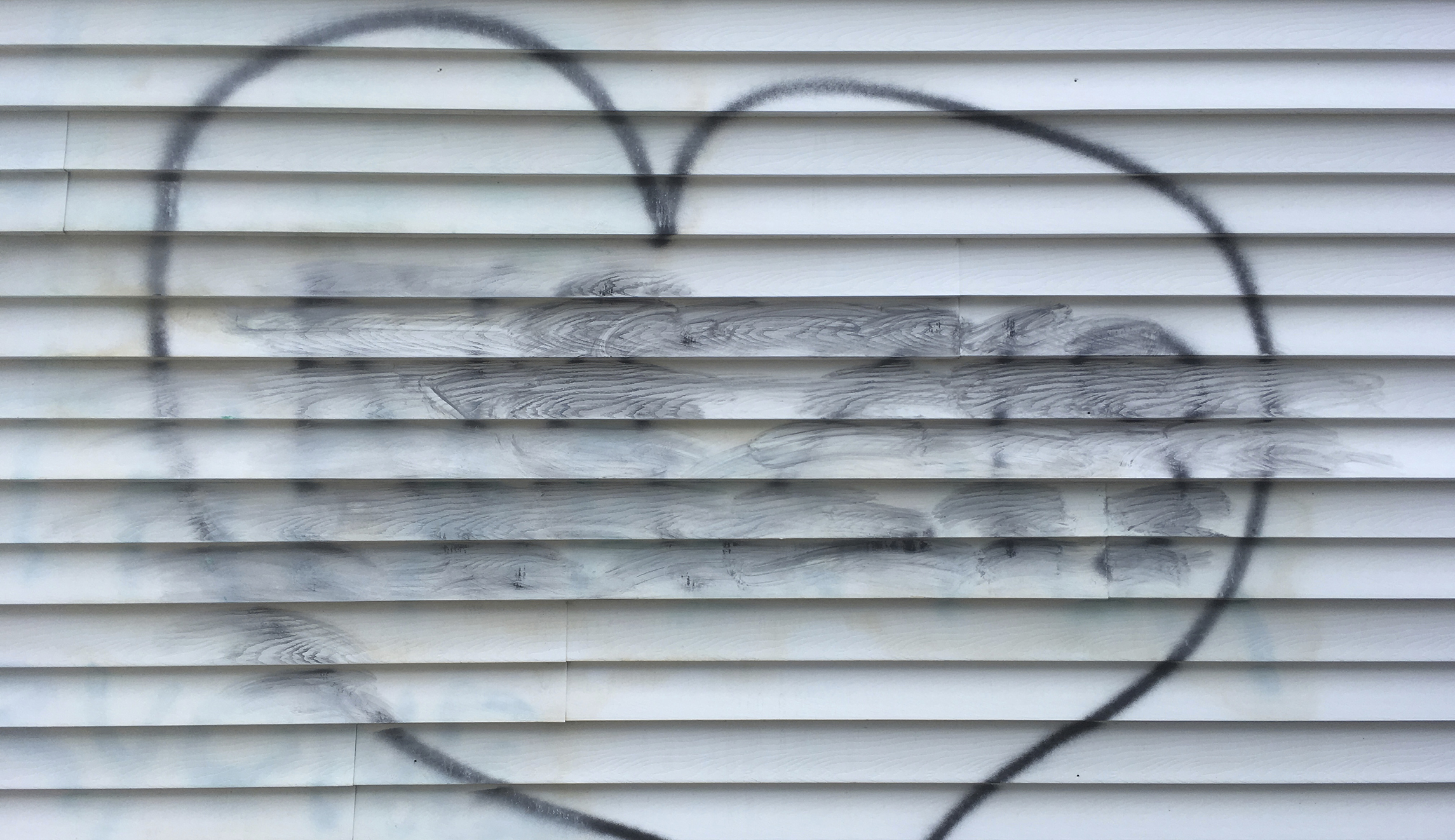 ‘Nazi lives here’: College Republican adviser’s house vandalized