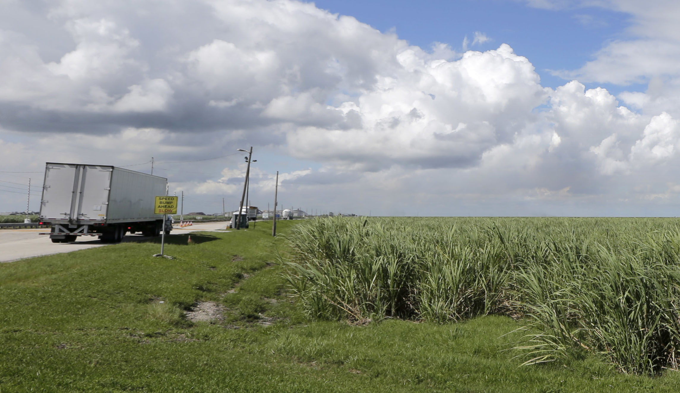 The fight against subsidy-suckling Big Sugar: Blending populism with conservatism