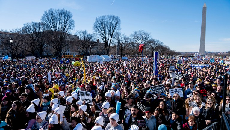 Anti-abortion activists rally on the National Mall in Washington.