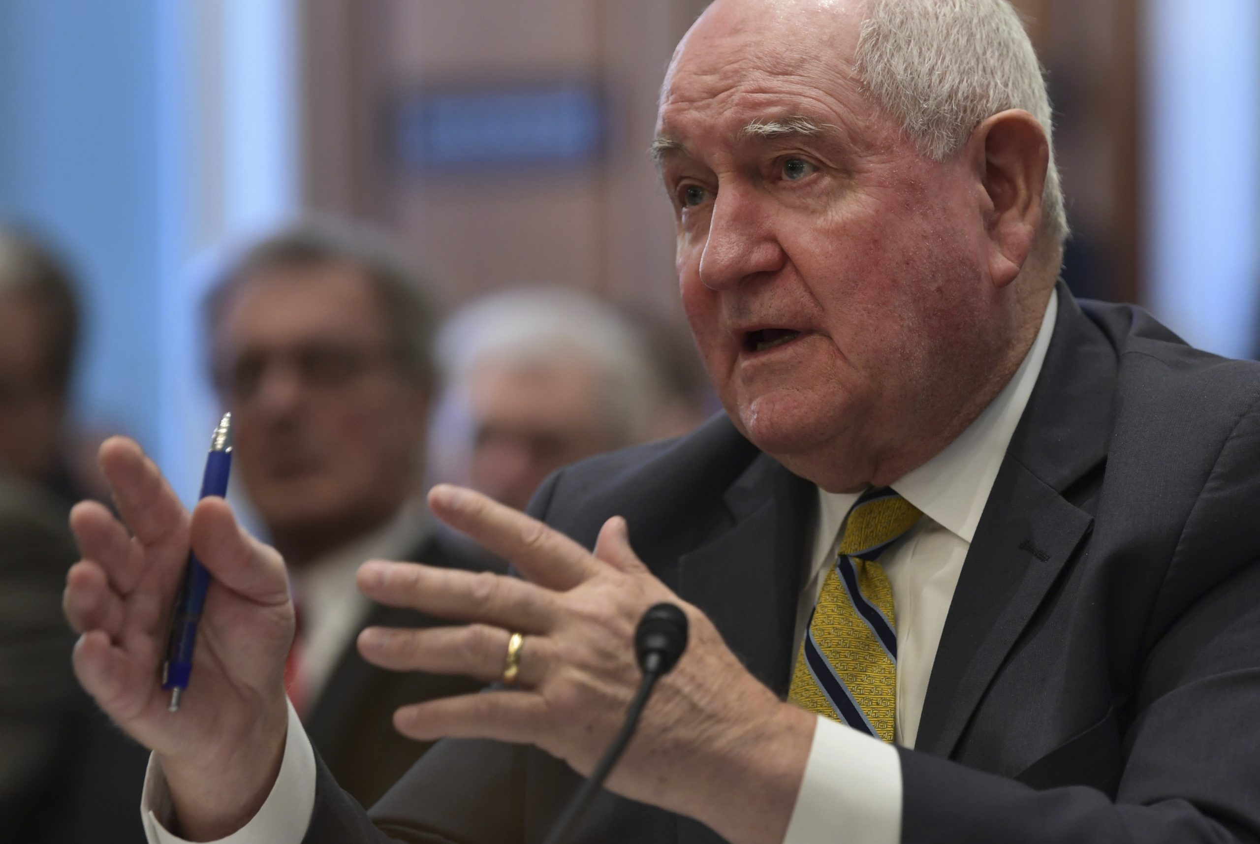 Senate probes years of sexual harassment at US Forest Service