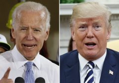 2020: Trump gains on Democrats, Stephen Miller says polls better than in 2016 win