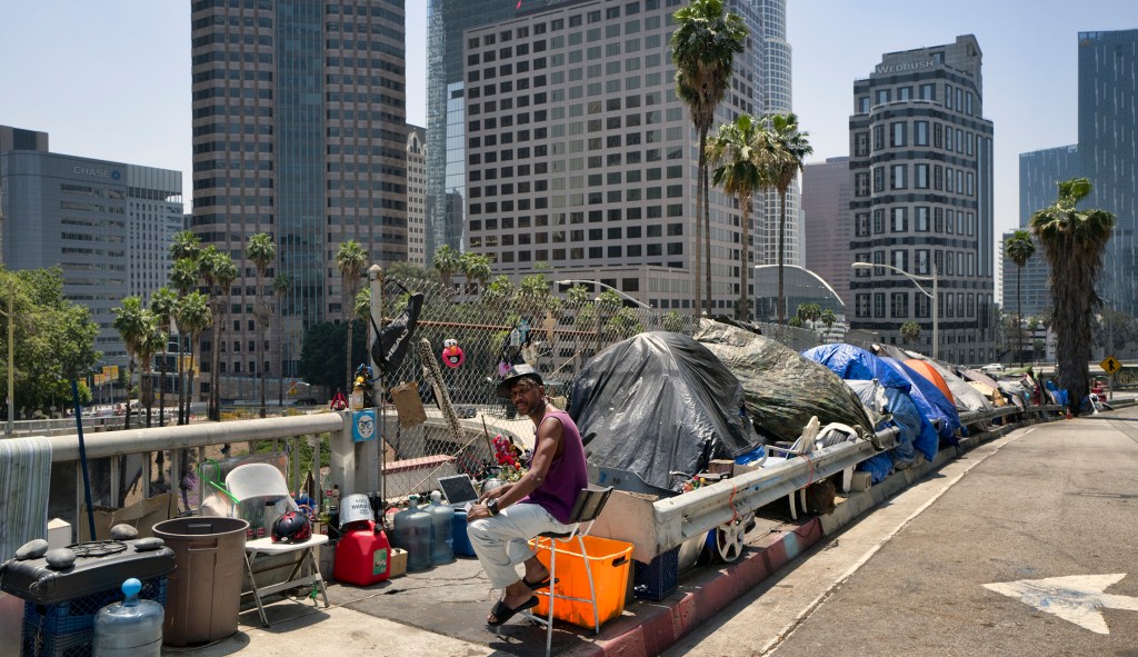 NIMBY California Democrats