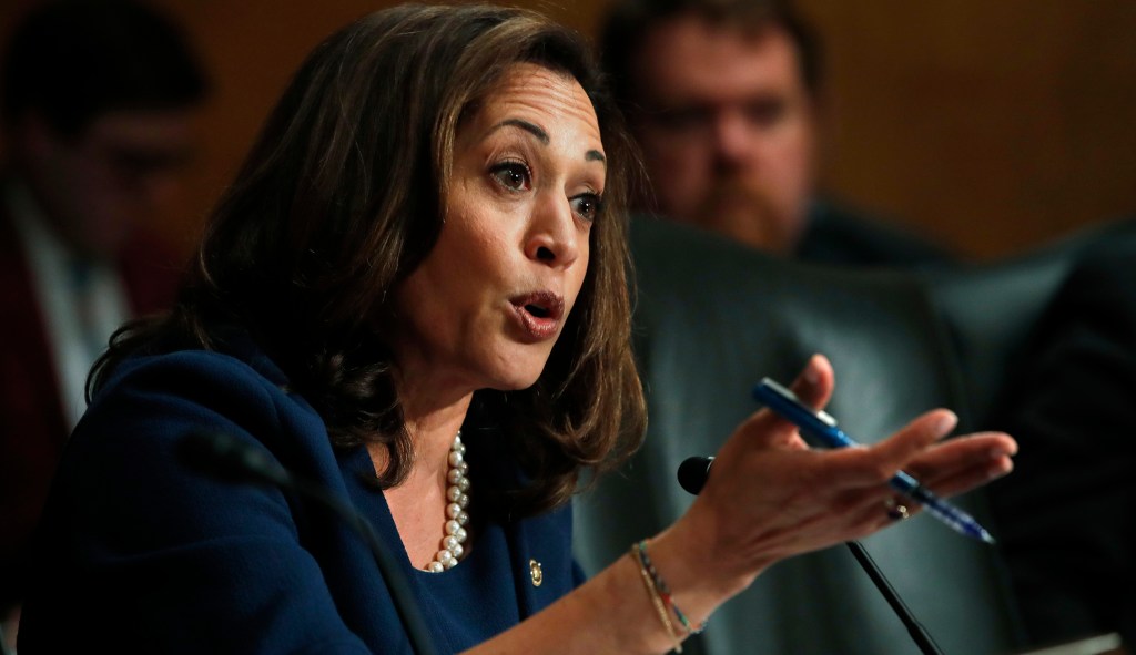 Former ICE chief rips Kamala Harris for drawing ‘disgusting’ parallel between ICE, KKK