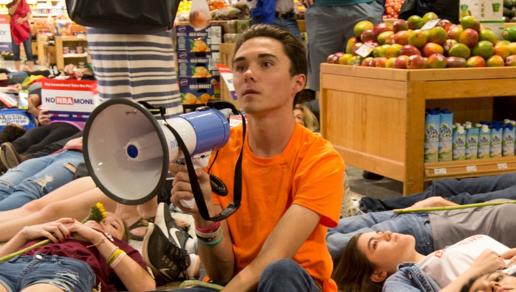 Meet David Hogg, a Harvard student in need of history