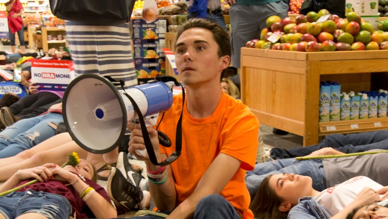 Meet David Hogg, a Harvard student in need of history