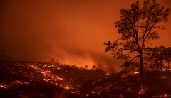 Trump blames California for its wildfires, not climate change