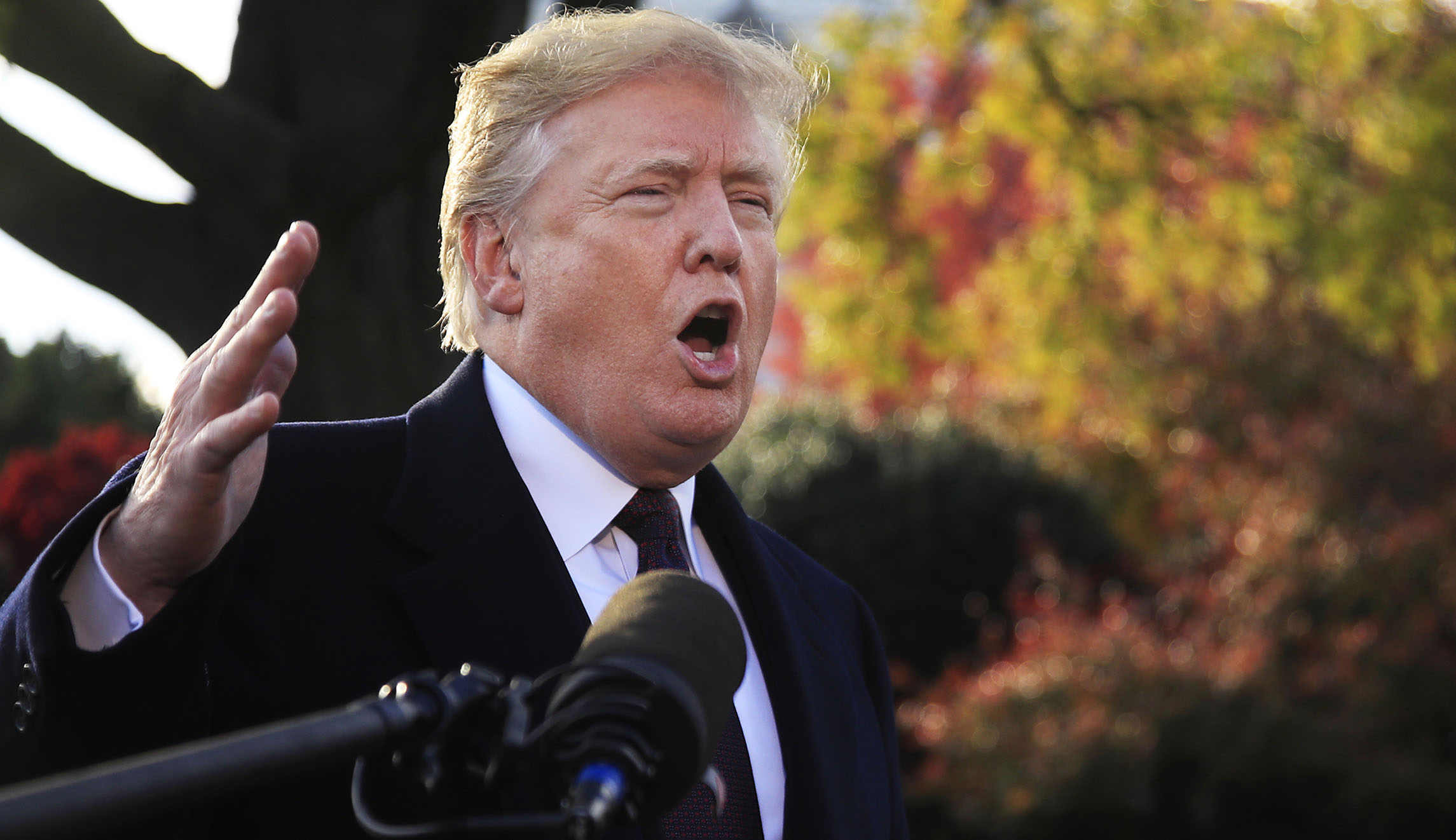 Trump names hand-picked panel to supervise, investigate intelligence community