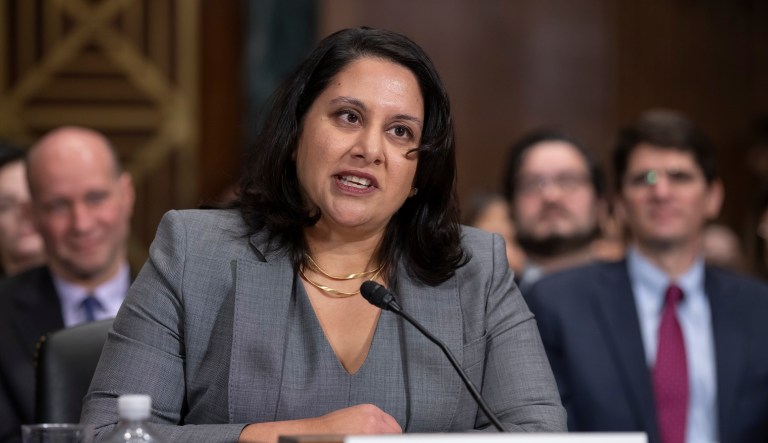 Neomi Rao, President Donald Trump's nominee for a seat on the D.C. Circuit Court of Appeals, appears before the Senate Judiciary Committee for her confirmation hearing, on Capitol Hill in Washington, Tuesday, Feb. 5, 2019. 