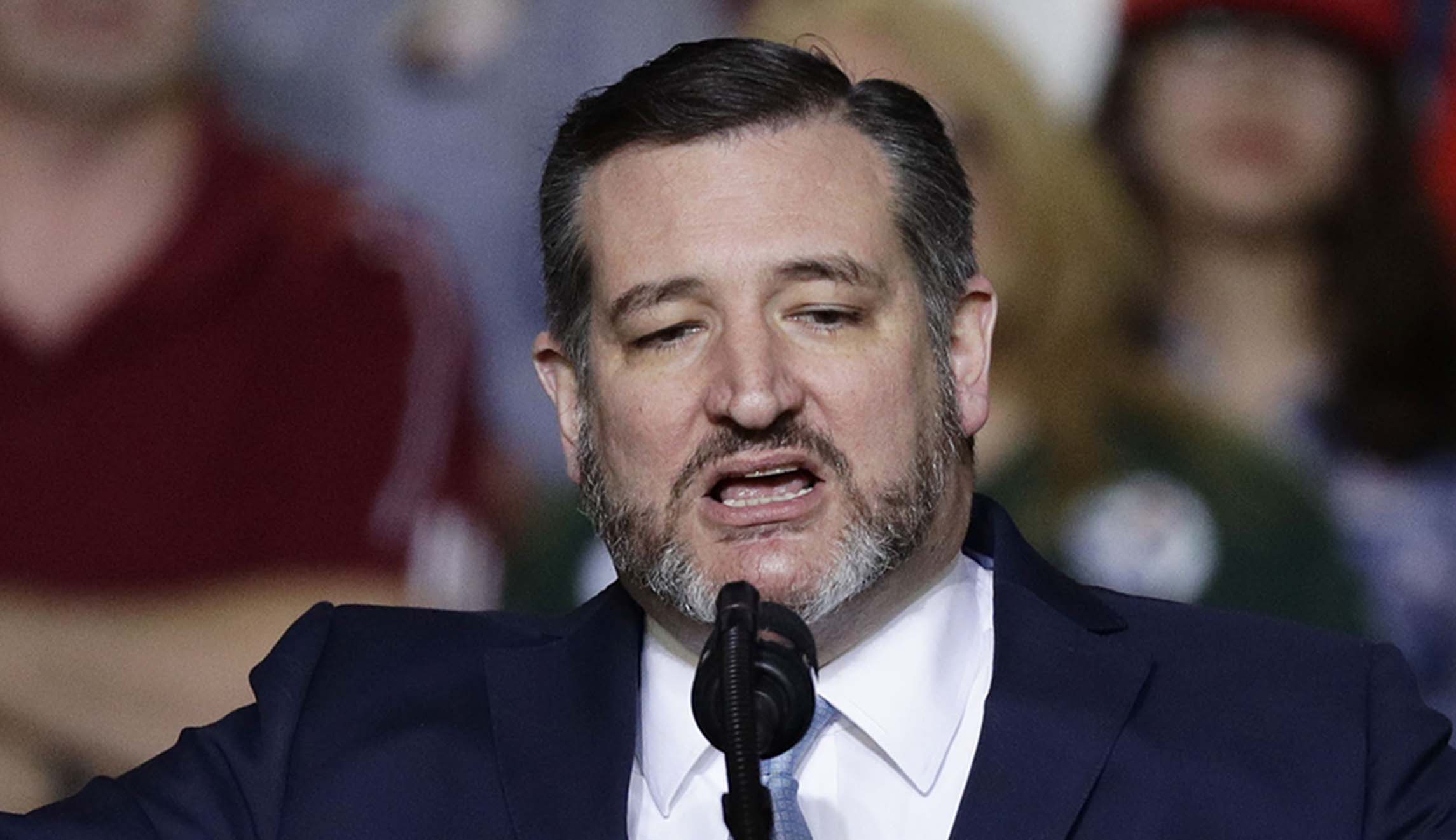 Ted Cruz calls universities ‘nutty’ and ‘socialist’ for avoiding controversial speakers