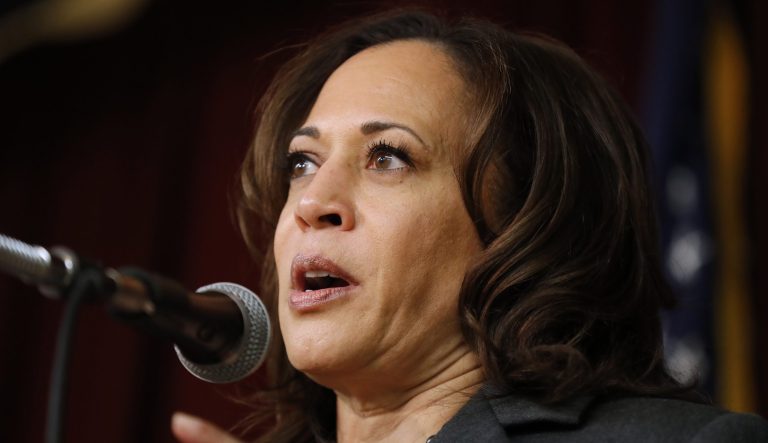 Democratic presidential candidate Sen. Kamala Harris speaks at the Story County Democrats' annual soup supper fundraiser, Saturday, Feb. 23, 2019, in Ames, Iowa. 