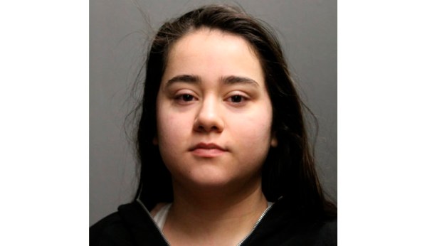 Woman, 19, who shot Chicago cop had been freed on bail after being found with pump-action shotgun