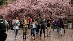 The College Transparency Act will help families treat college like any other financial decision