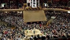 Trump to present trophy to sumo champion while in Japan