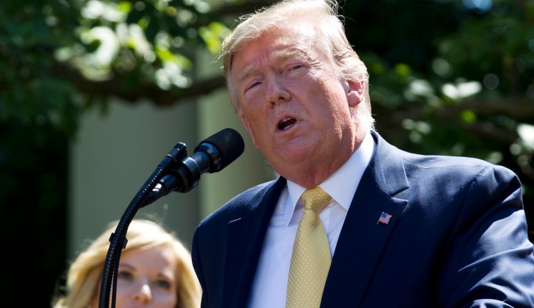 President Donald Trump speaks in the Rose Garden of the White House, Friday, June 14, 2019, in Washington.