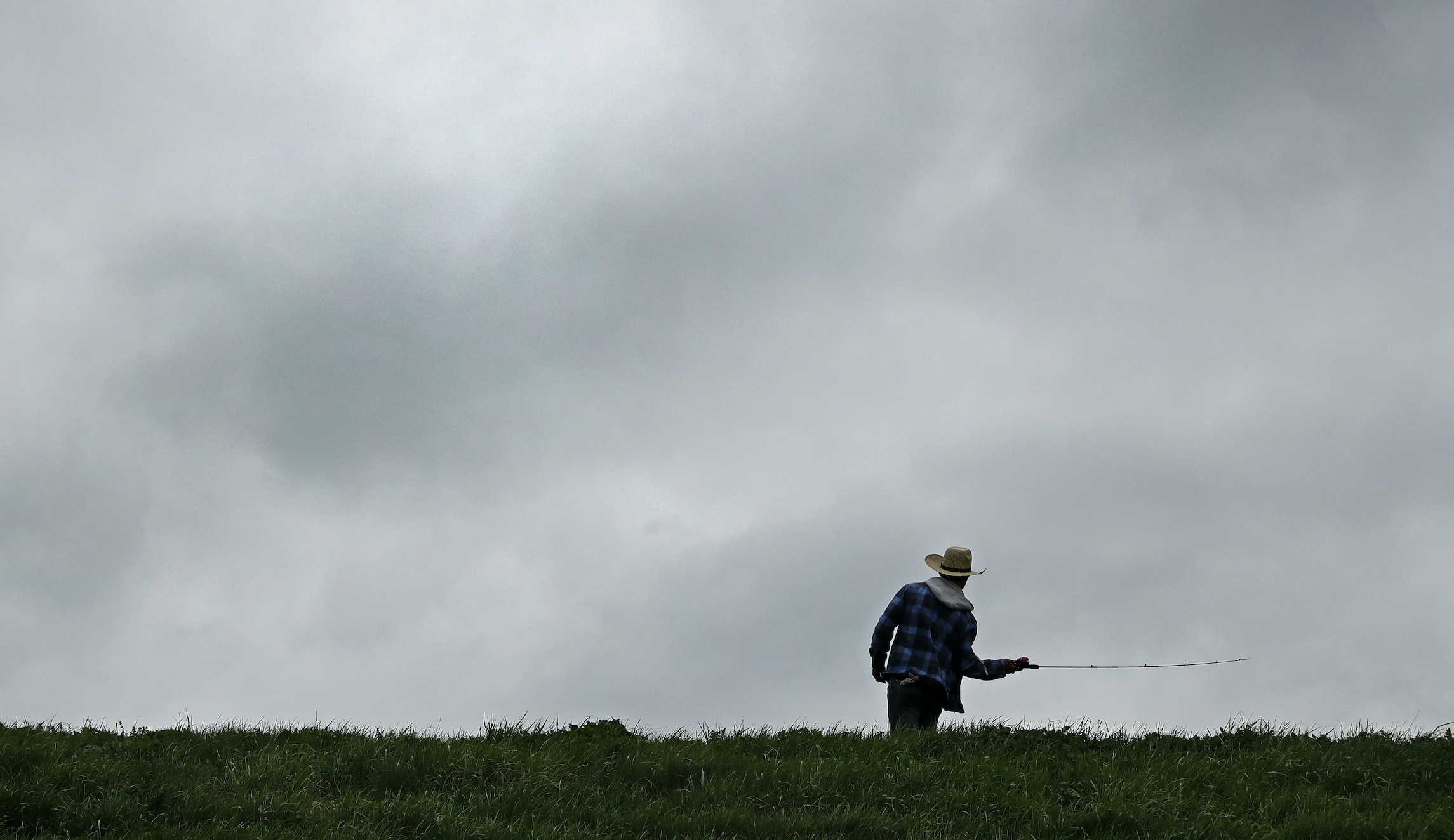 Missouri farmers struggle amid COVID-19 pandemic