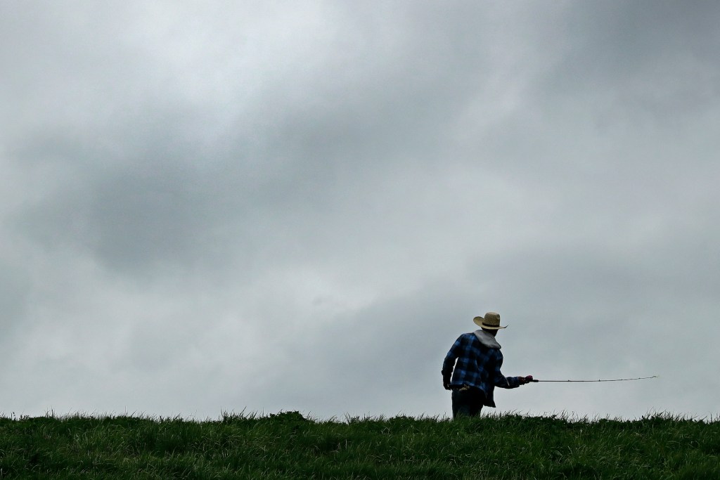 Missouri farmers struggle amid COVID-19 pandemic