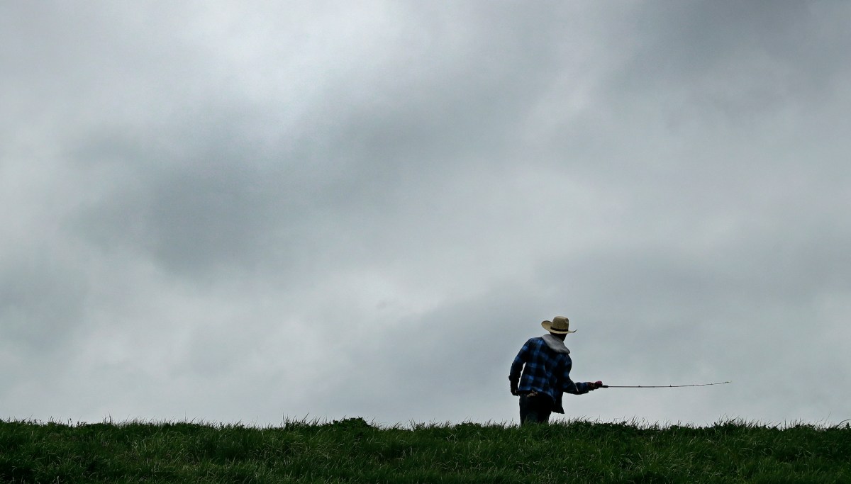 Missouri farmers struggle amid COVID-19 pandemic