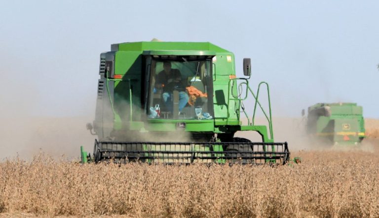 Combines harvests soybeans.