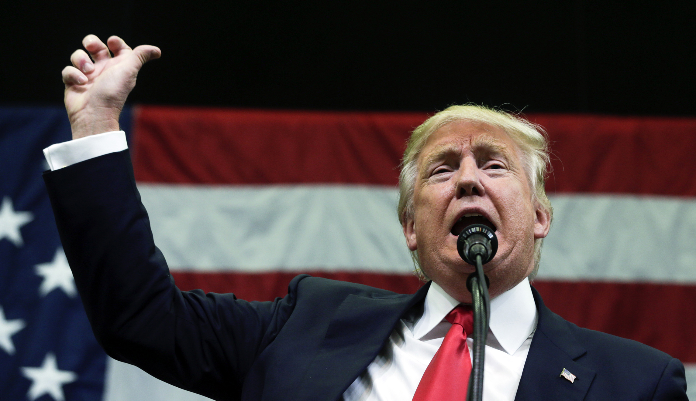 Trump bashes Tallahassee in DeSantis endorsement