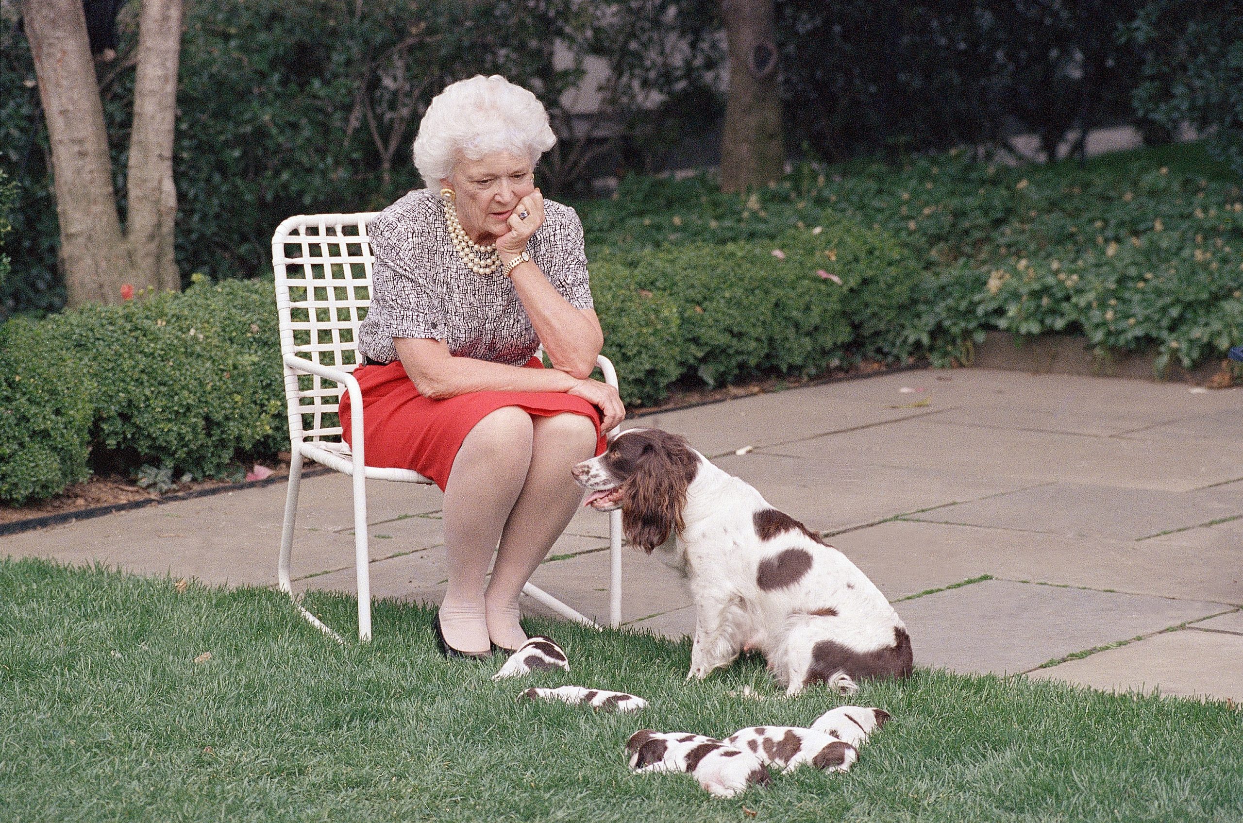 Bush And Millie