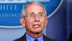 Fauci slammed as ‘consistently wrong’ after saying decrease in Texas coronavirus cases ‘confusing’ following state’s full reopening