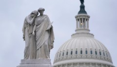 Democrats defend gender-neutral pronoun rule