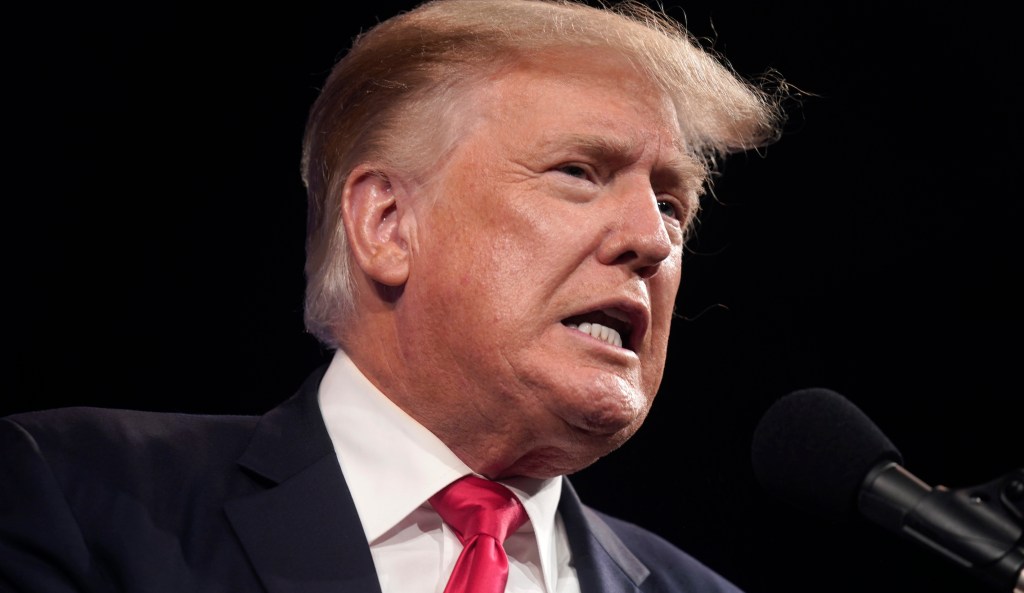 ‘Stronger issues to talk about’: Democrats say Trump impeachment is loser campaign issue